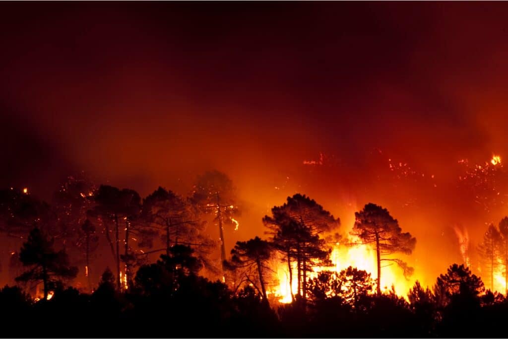 Forest Fire in Spain