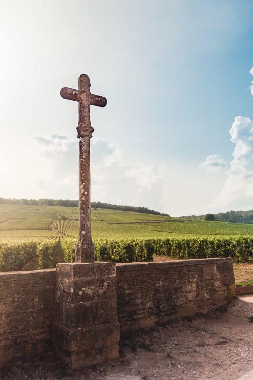 View over Vines in Romanee-Conti domaine, with stone cross