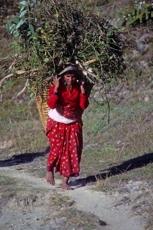 Woman carrying grass in Nepal