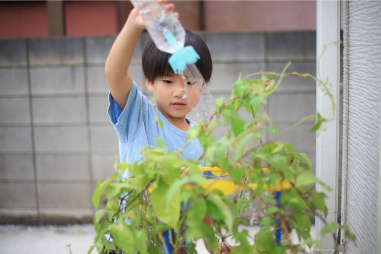 Child watering a plant with a water bottle