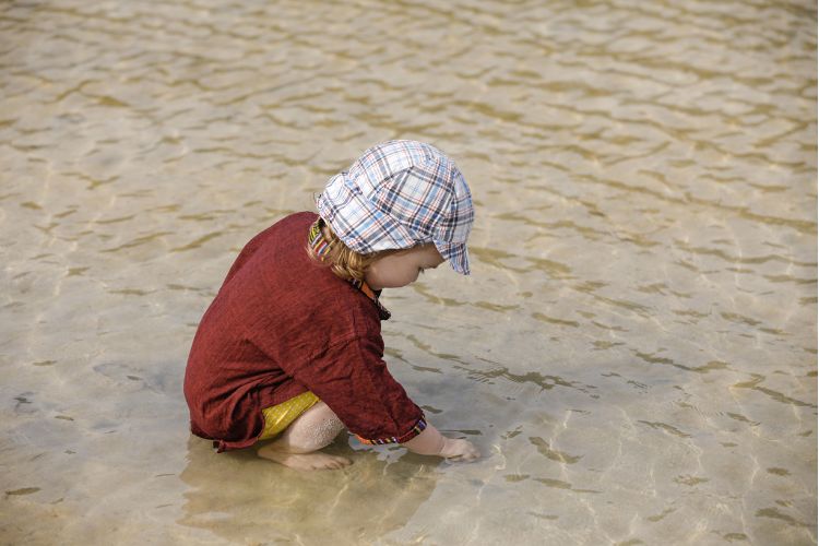 A child at the beach in ankle-deep water, reaching in the water to pick something up, most likely a shell