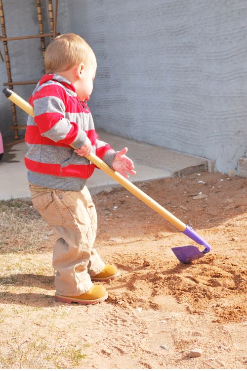Toddler holding a small hoe, playing in the dirt