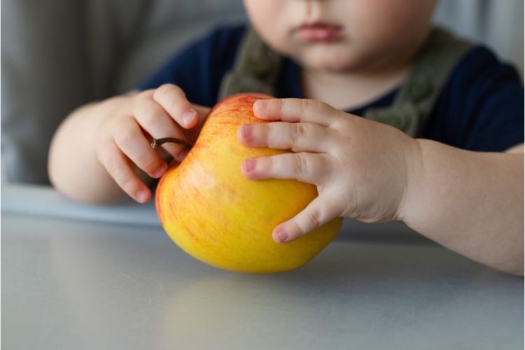 Child holding an apple