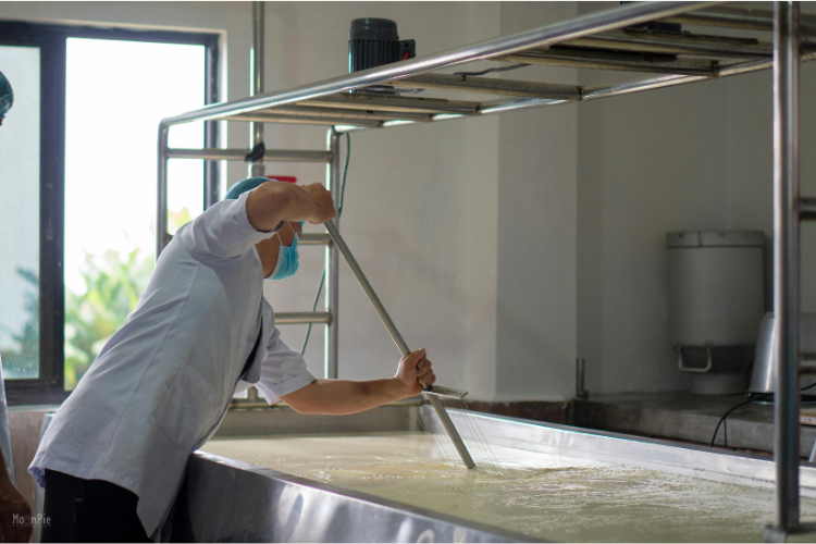 Cheesemaker stirring a vat of milk to turn into curds for cheese