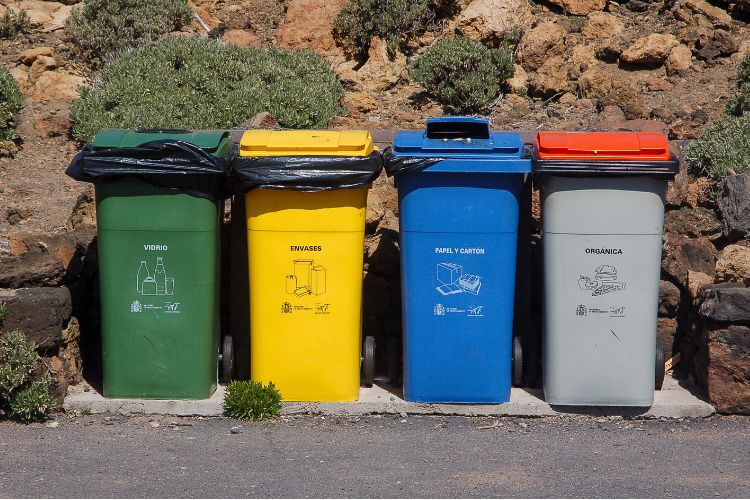 Recycling and Waste Bins