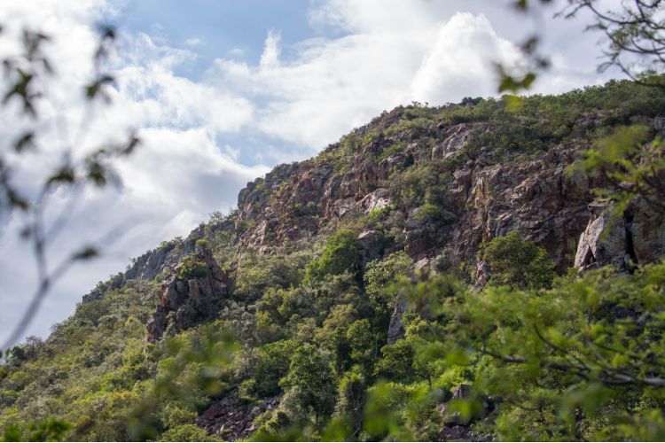 Soutpansberg, South Africa