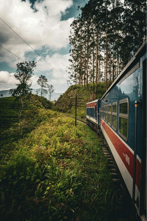 Train and pretty landscape in Sri Lanka